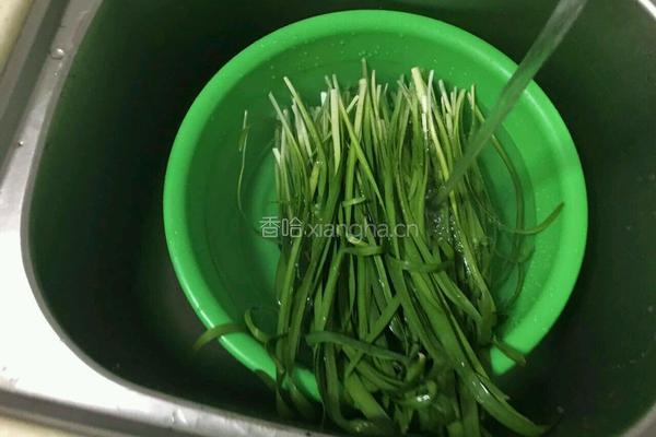韭菜炒银芽的做法图解3