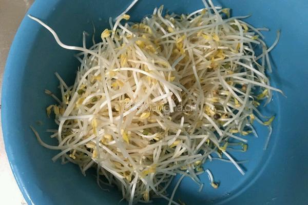 韭菜炒银芽的做法图解4