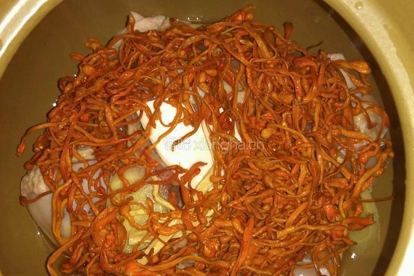 虫草花煲老母鸡汤的做法图解4