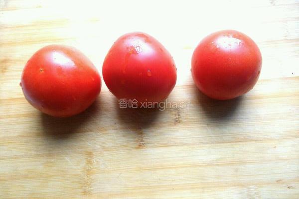 番茄炖排骨的做法图解4