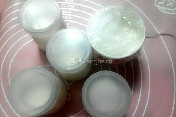 电饭锅酸奶的做法图解9