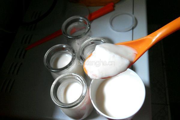 电饭锅酸奶的做法图解17