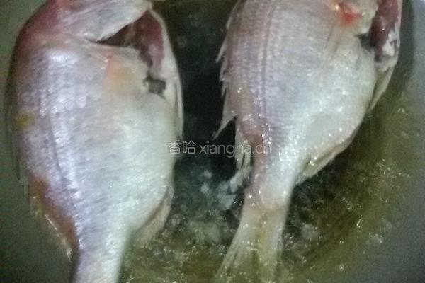 鱼的做法图解3