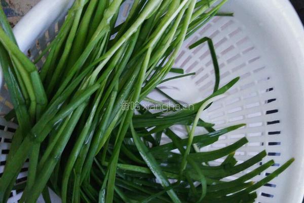 鱿鱼三鲜馅儿饺子的做法图解8