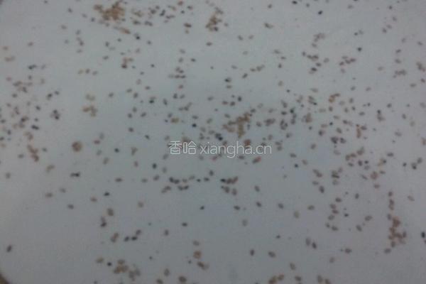 山东大饼的做法图解2