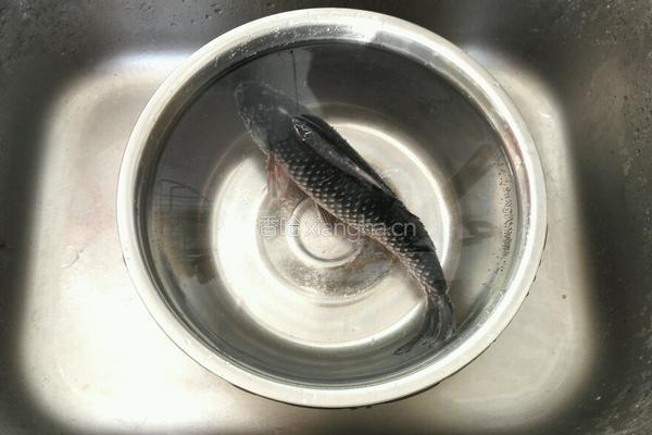 鲫鱼豆腐汤的做法图解1
