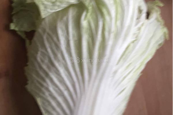 油泼白菜的做法图解1