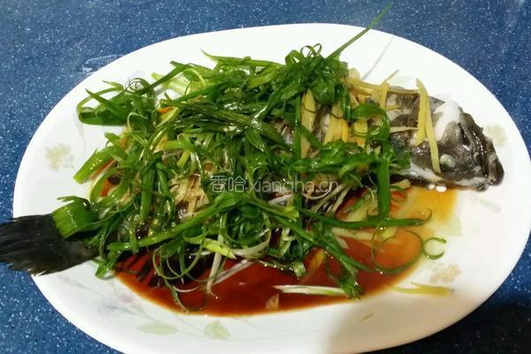 清蒸石斑魚