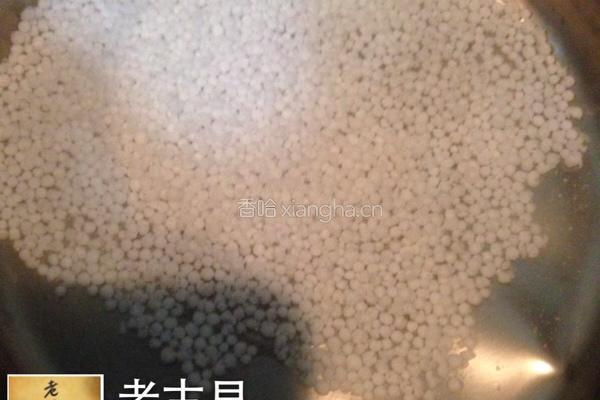 花胶椰汁牛奶冻的做法图解4