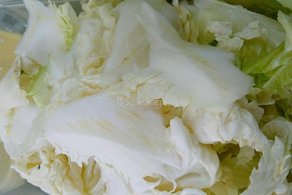 醋溜白菜的做法图解2