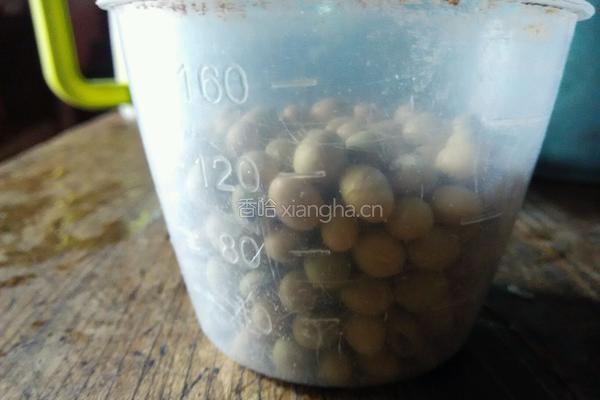 红糖豆浆的做法图解2