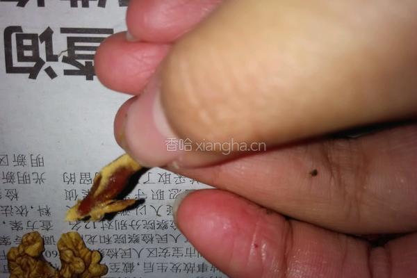 枣夹核的做法图解5
