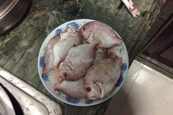煎赤棕鱼的做法图解1