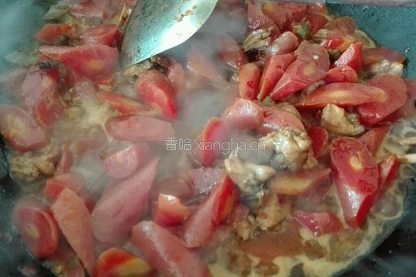 兔子烧红萝卜的做法图解11