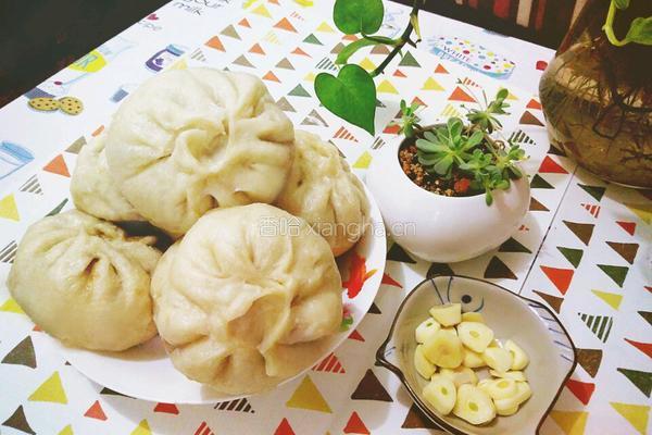 白菜剩扣肉包子的做法图解16
