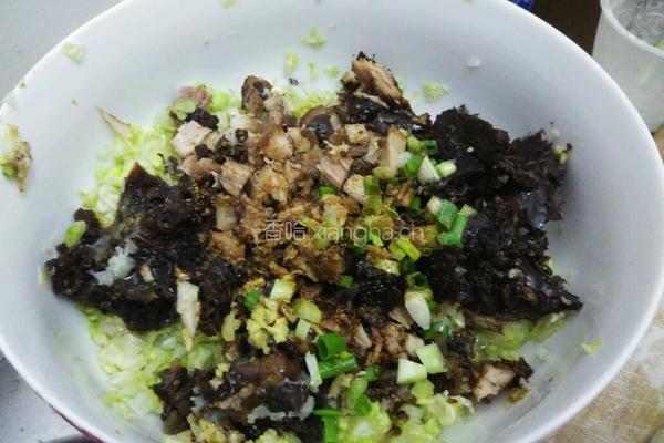 白菜剩扣肉包子的做法图解7
