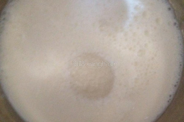 特制姜汁撞奶的做法图解4