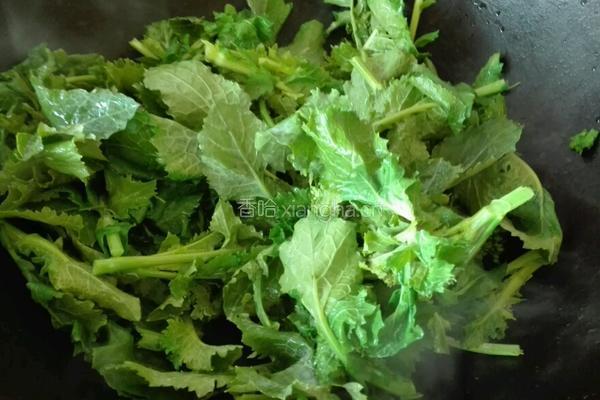 清炒油菜尖的做法图解2