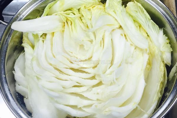 辣白菜的做法图解1