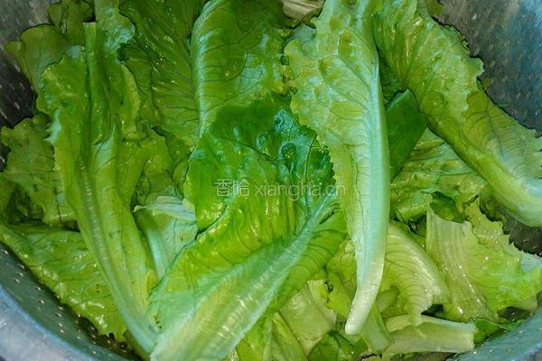 生菜煎饼的做法图解1