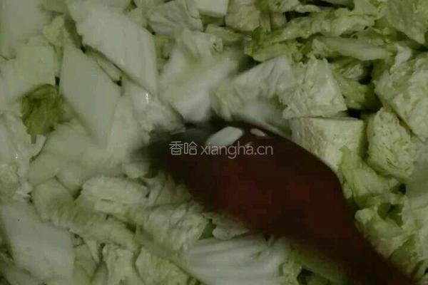 酸辣白菜的做法图解4