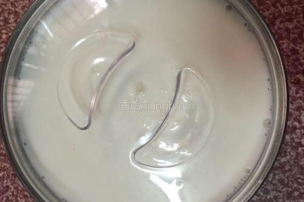 自制酸奶的做法图解5