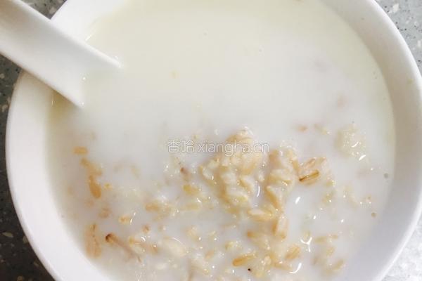燕麦牛奶的做法图解4