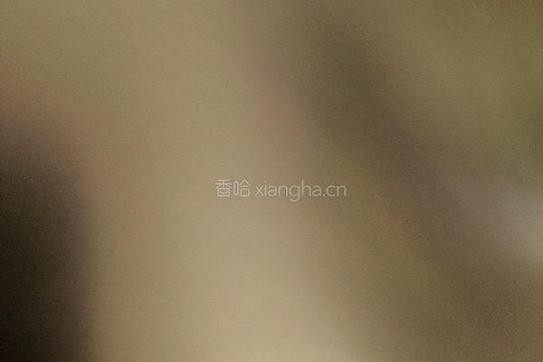 茹果妈妈___自制水煮鱼的做法图解6