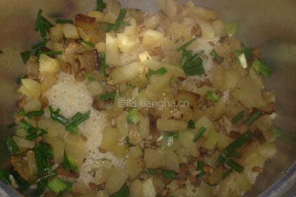 菜果虾米鲜味焗饭的做法图解3