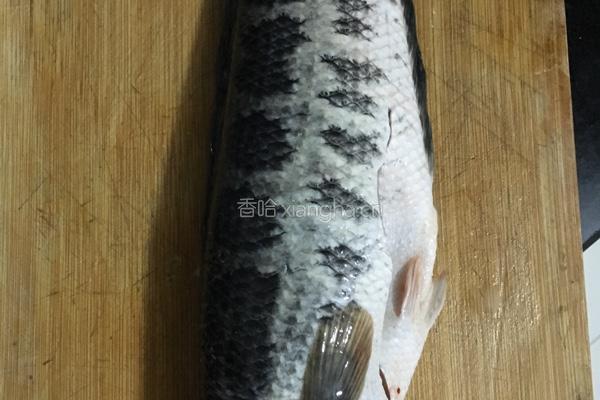 水煮鱼的做法图解1