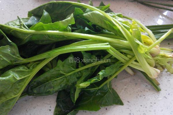 菠蒜红油澡(芥末味)的做法图解2