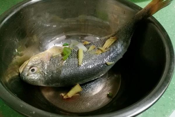 清蒸豆豉黄花鱼的做法图解3