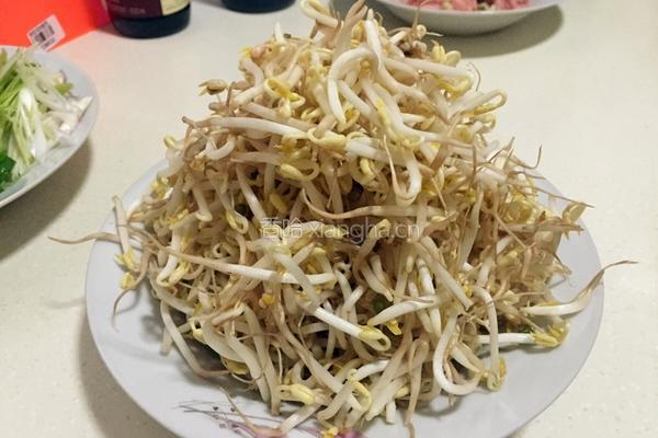豆芽蒜苗肉丝炒面的做法图解3