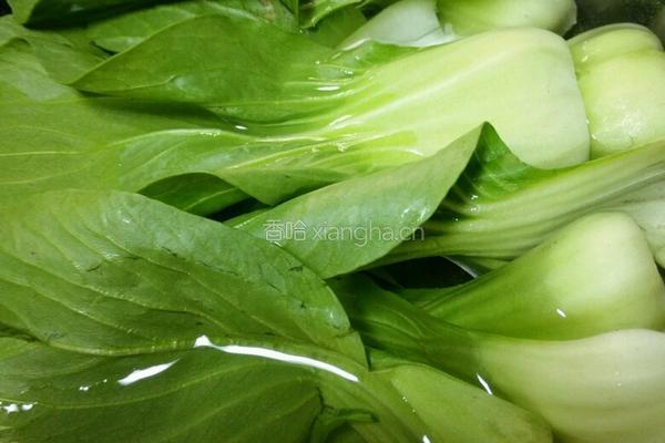 酱香菇扒油菜的做法图解1