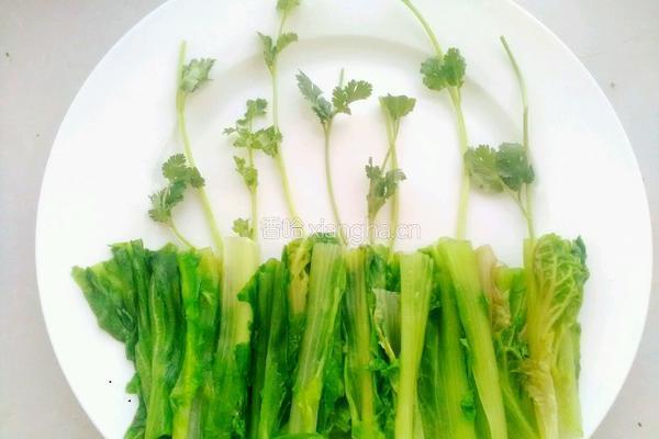 白芍生菜的做法图解7