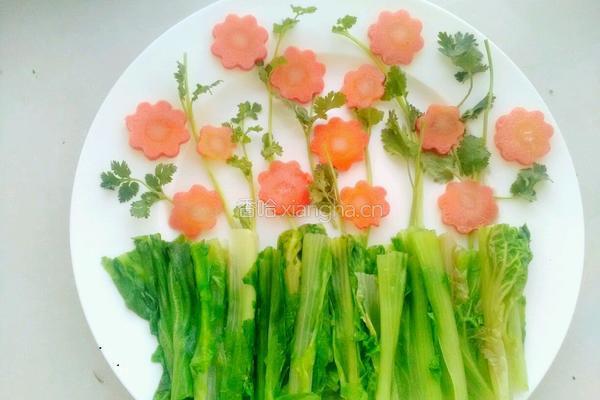 白芍生菜的做法图解8