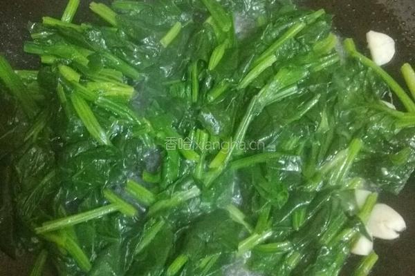 清炒菠菜的做法图解3