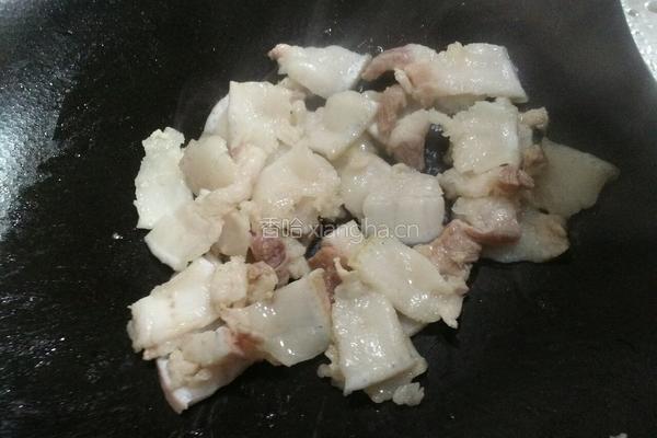 胡萝卜炒肉的做法图解5