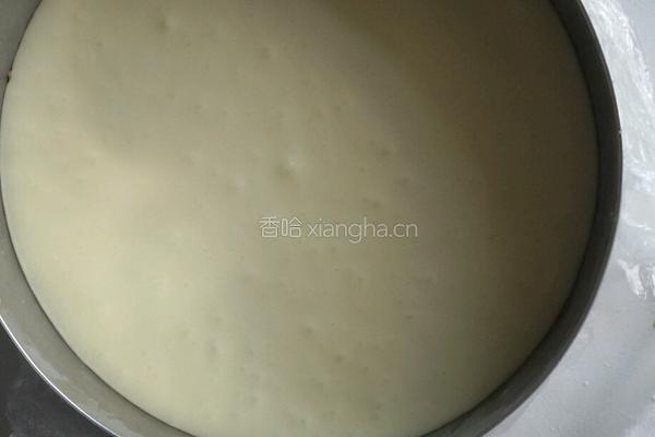 芒果芝士慕斯的做法图解8