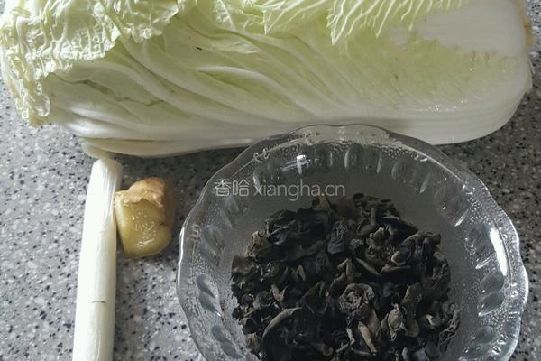 猪肉白菜木耳饺子水饺的做法图解3