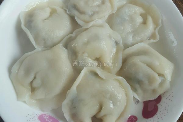 猪肉白菜木耳饺子水饺的做法图解11