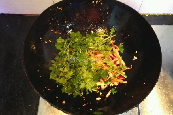 干煸杏鲍菇的做法图解8