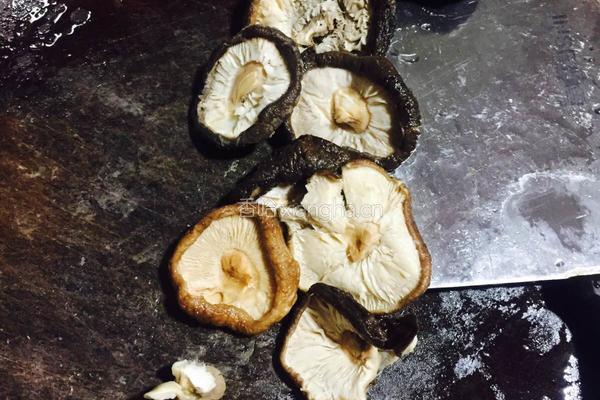 芹菜煎饺的做法图解4