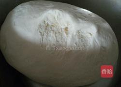 玉米面呛面馒头的做法图解4