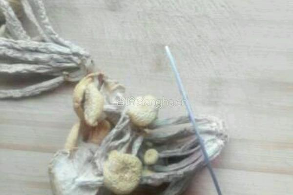 茶树菇排骨汤的做法图解5