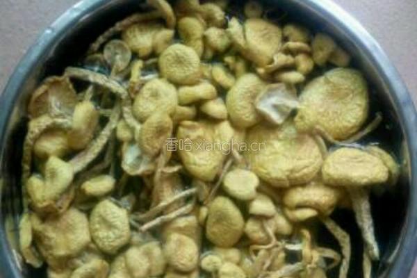 茶树菇排骨汤的做法图解6