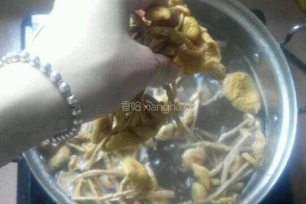 茶树菇排骨汤的做法图解7