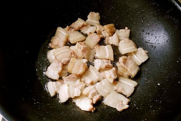 猪肉炖粉条的做法图解4