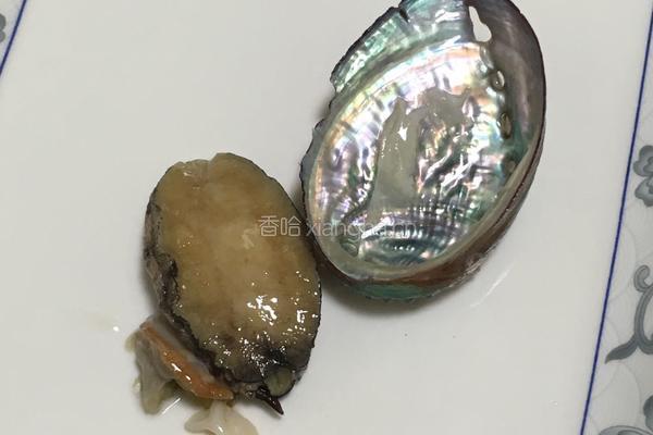 葱油鲍鱼的做法图解3