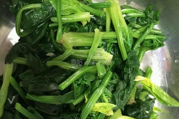 韩国杂菜的做法图解4